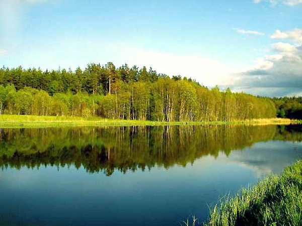 Белорусская природа